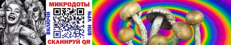 Псилоцибиновые грибы MAGIC MUSHROOMS  где купить наркоту  hydra ТОР  Кузнецк 